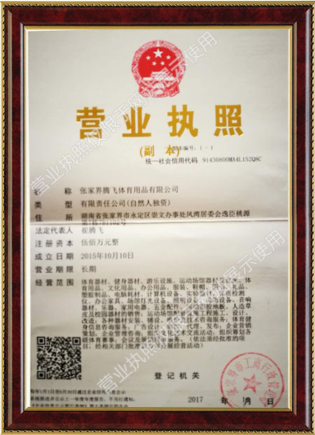 张家界腾飞体育用品有限公司,家庭健身器材销售,专业商用健身器材销售,理疗养护器材供应