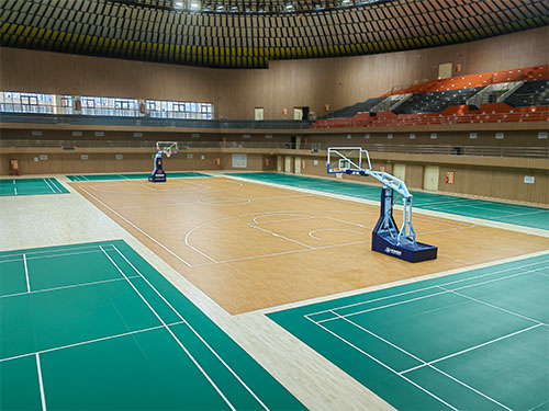 张家界腾飞体育用品有限公司,家庭健身器材销售,专业商用健身器材销售,理疗养护器材供应