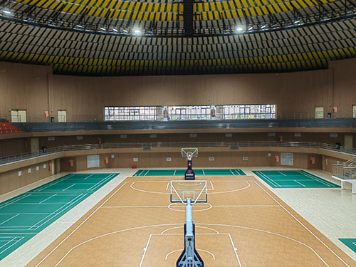 张家界腾飞体育用品有限公司,家庭健身器材销售,专业商用健身器材销售,理疗养护器材供应