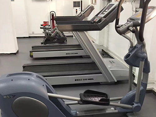 张家界腾飞体育用品有限公司,家庭健身器材销售,专业商用健身器材销售,理疗养护器材供应